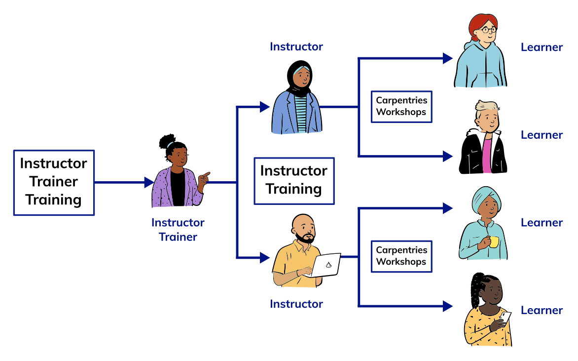 A tree diagram of Carpentries instruction and audience in which Instructor Trainers teach Instructors and Instructors teach Learners