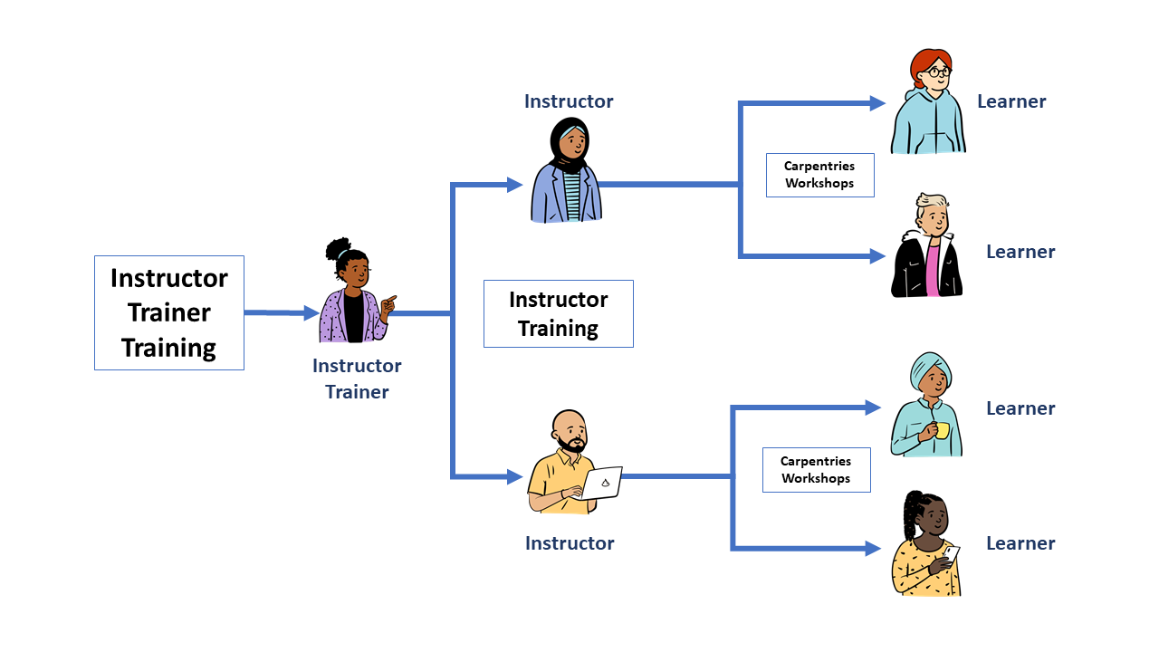 A tree diagram of Carpentries instruction and audience in which Instructor Trainers teach Instructors and Instructors teach Learners